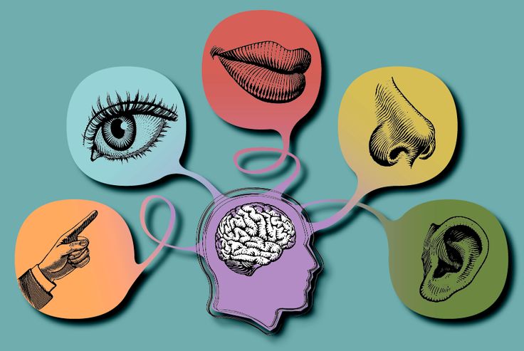 nhận thức cảm giác: Yếu tố trong Thiết kế Nội thất