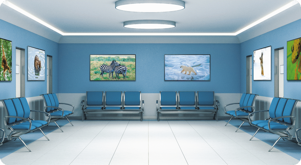 Màu sắc trong thiết kế nội thất bệnh viện