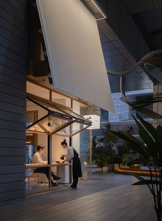 kể chuyện bằng ánh sáng